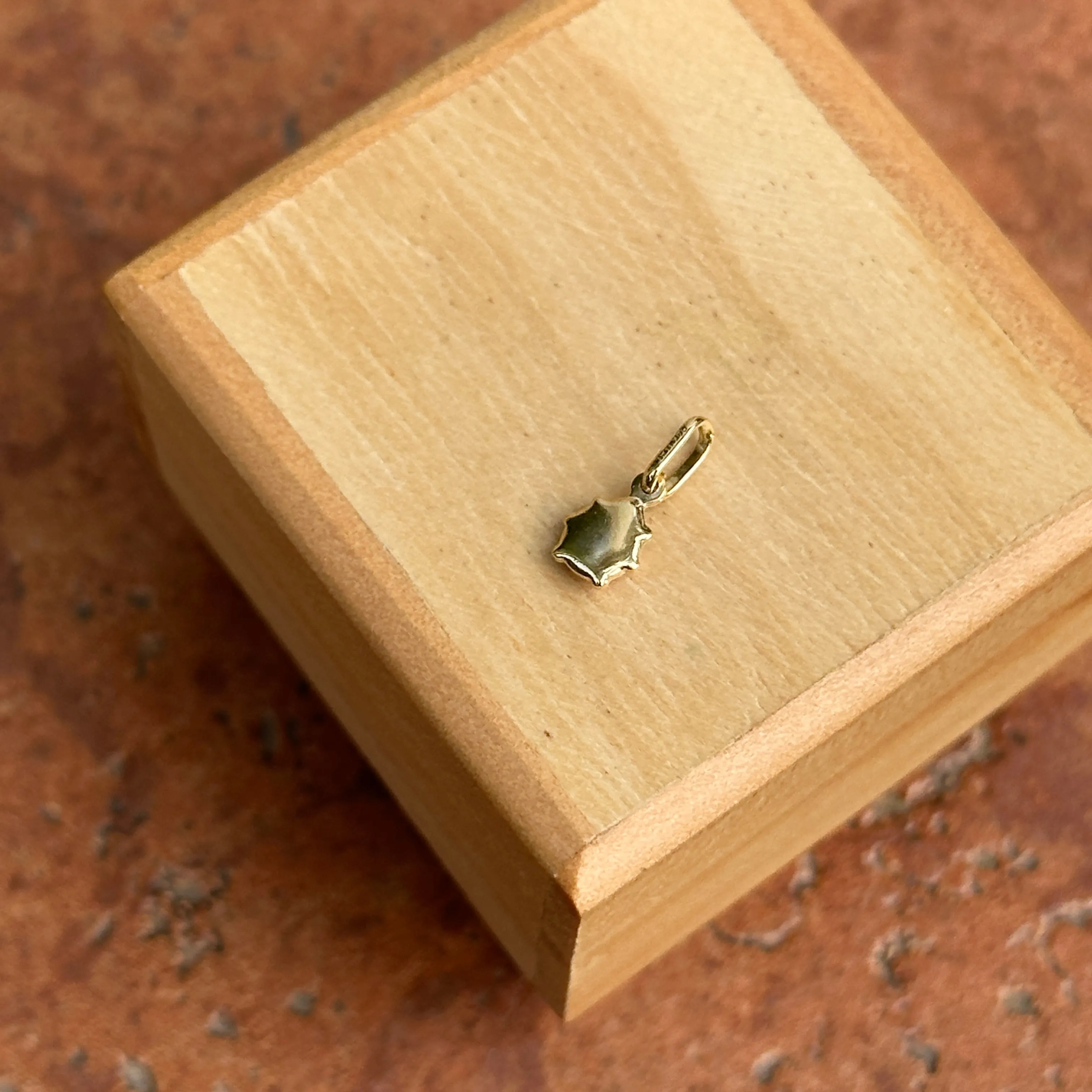 14KT Yellow Gold Mini Red Ladybug Pendant Charm 5mm