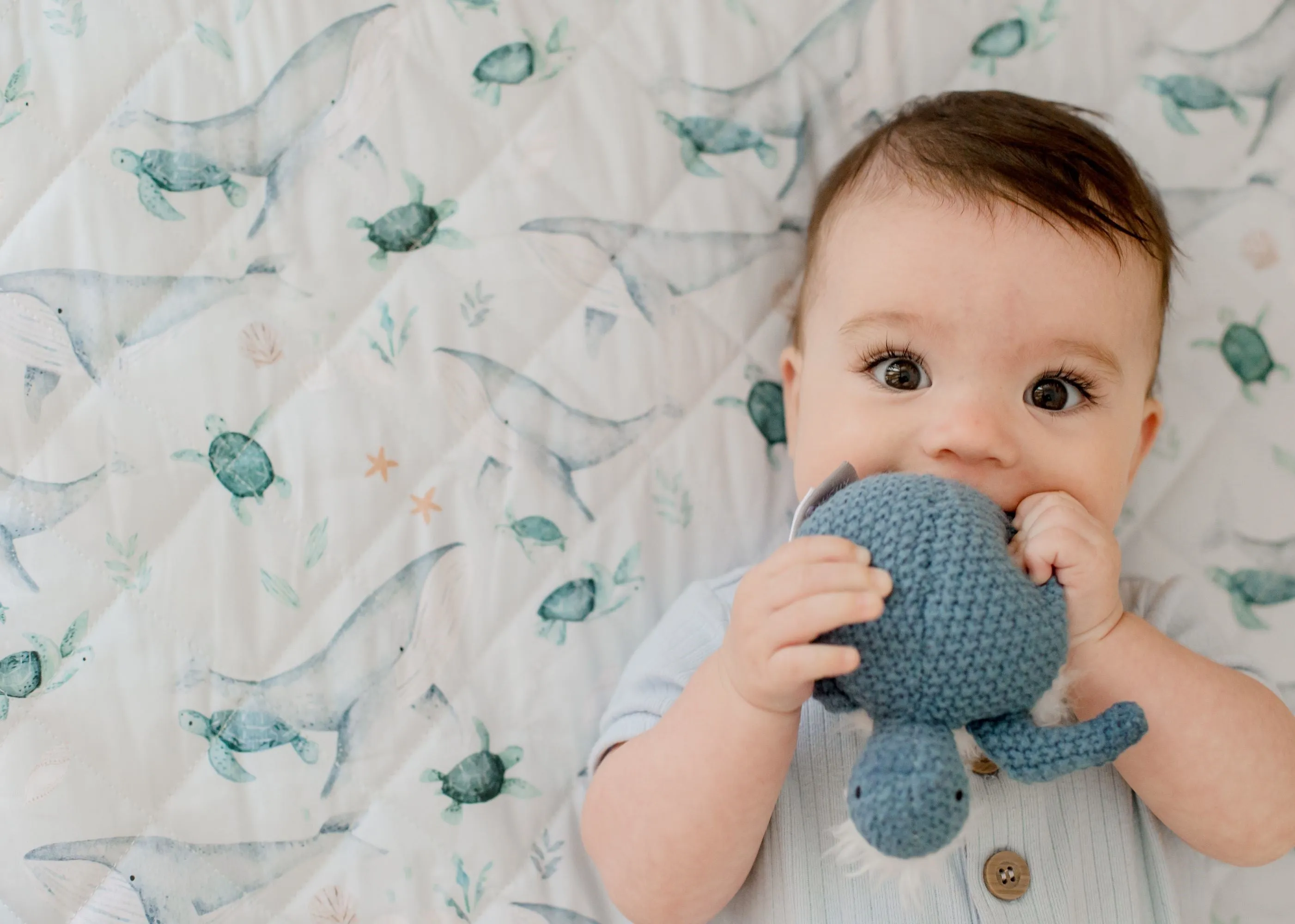 Bambella 2-in-1 Waterproof Cot Sheet & Mattress Protector | Turtle Bay