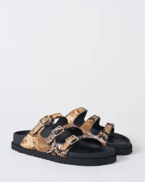 florida snake leather