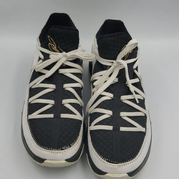 💥Host Pick 💥LeBron James Nike Air Max sneakers Sz 12 CD5007-101