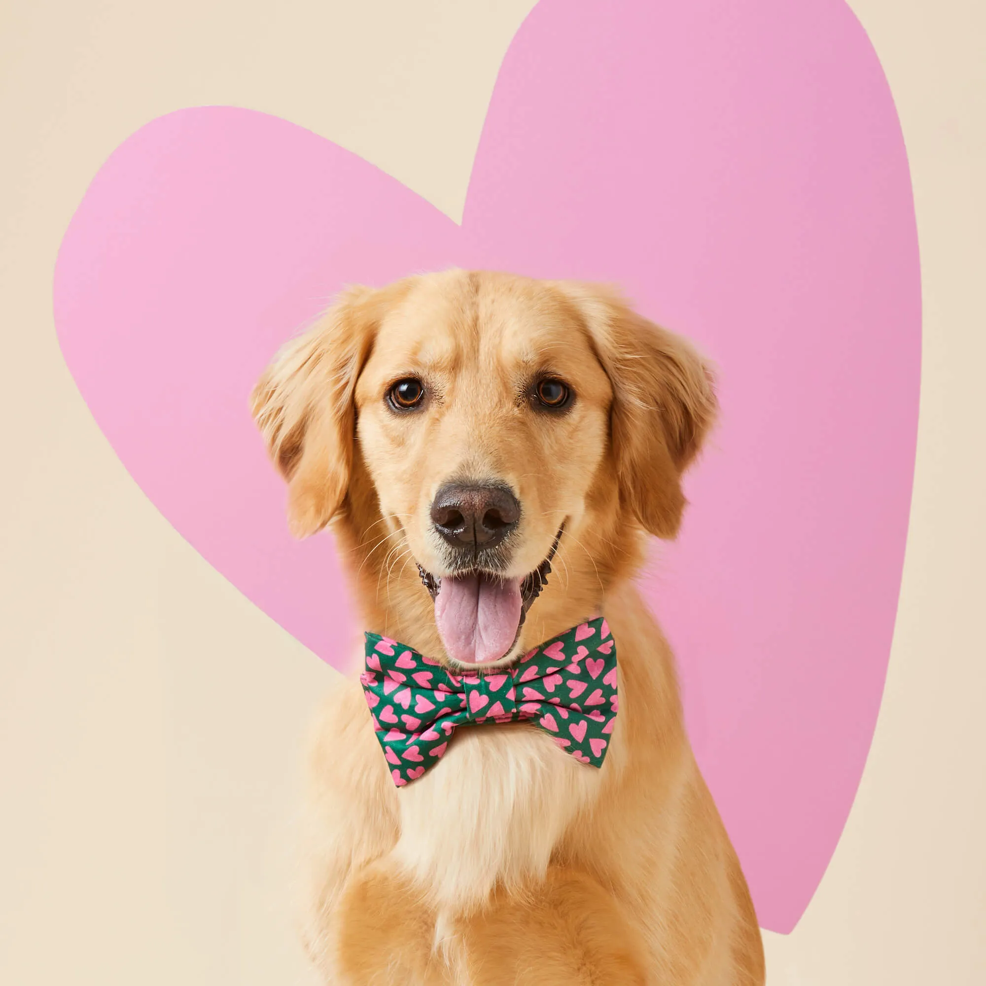 Lovestruck Dog Bow Tie