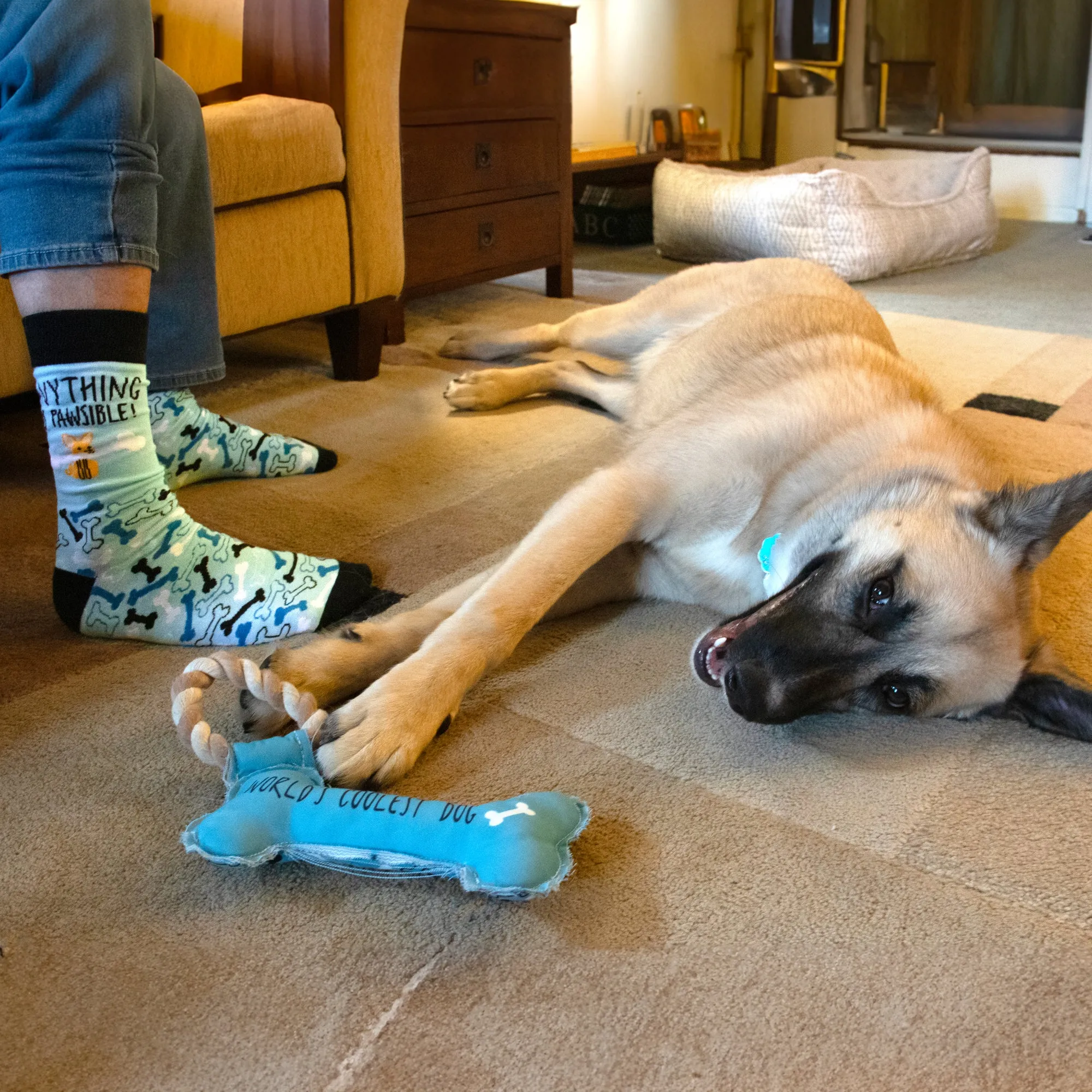 Pawsible Unisex Crew Socks Size: