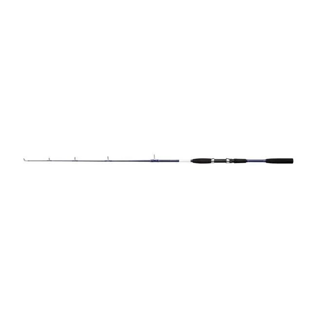 SALT Boat Rod
