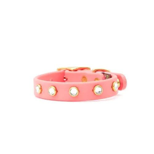 Sparkle Sport Collar — M (3/4" width)